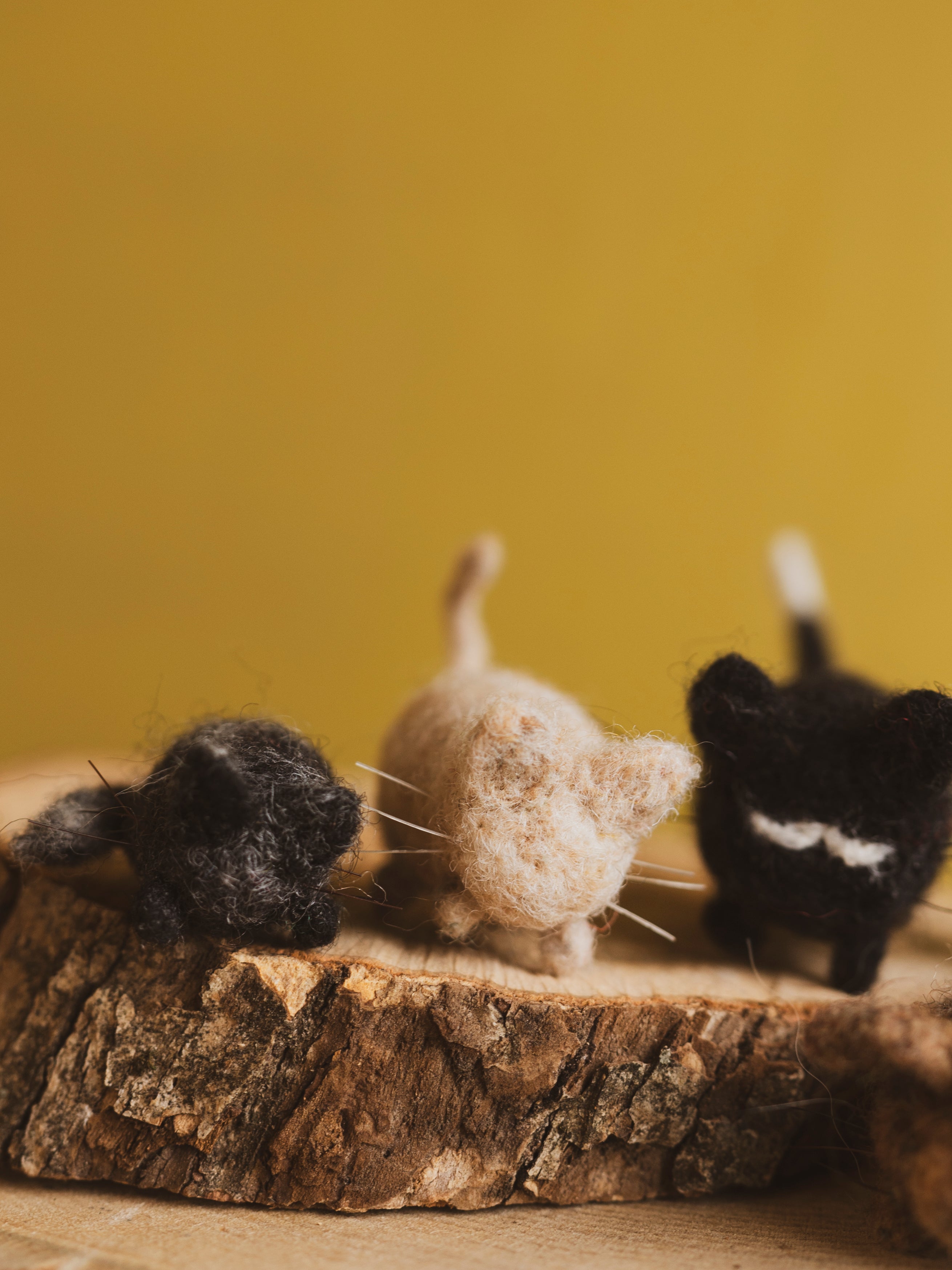 May 24th 2025 Felted Tater Tot Cat Class, CE506