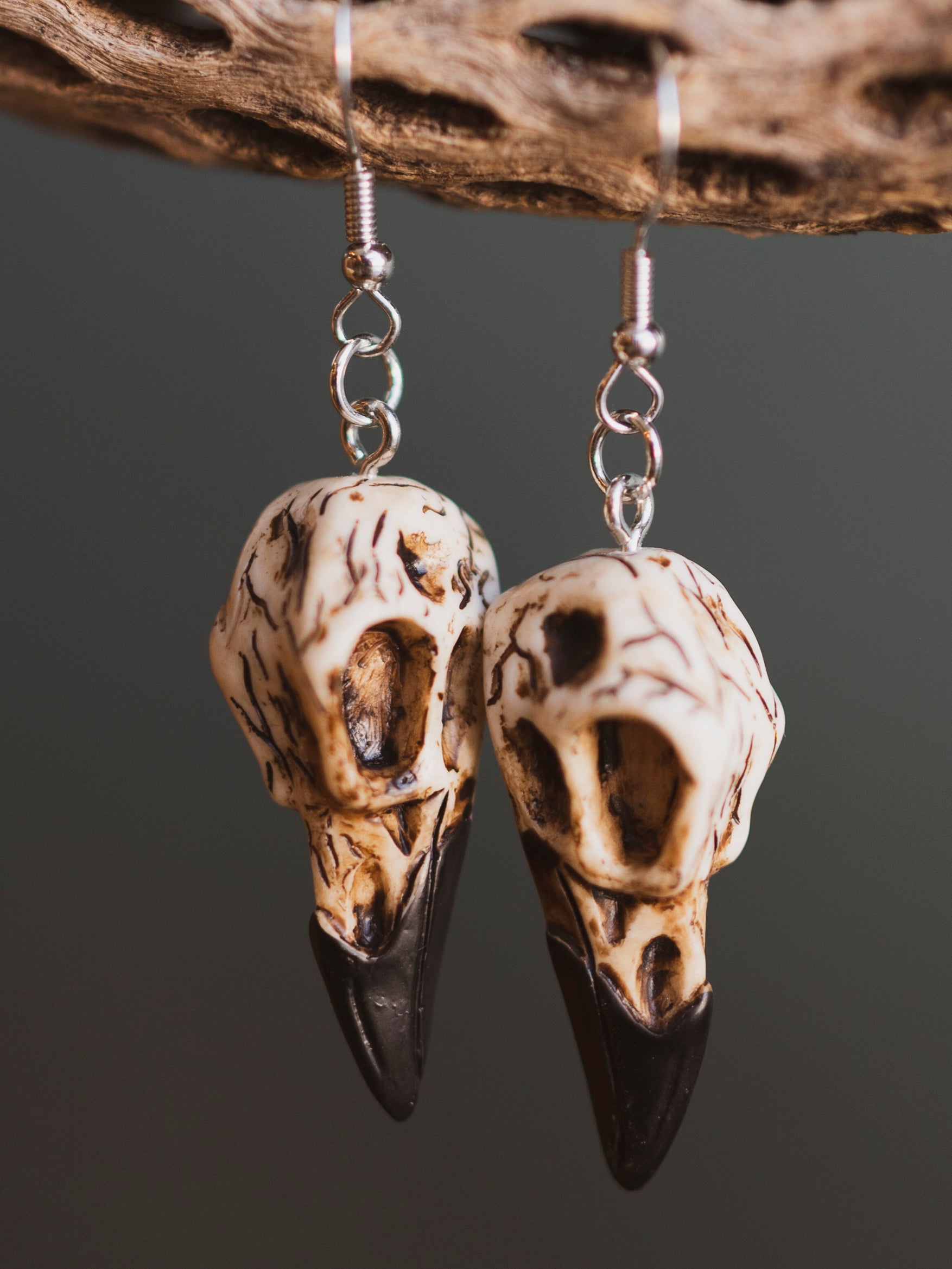 Resin Raven Skull Earrings, CA1208