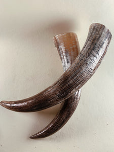Hand Carved Indian Water Buffalo Horn, SB173