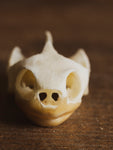 Ambonia Box Turtle Skull, SB385
