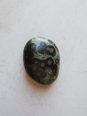 Polished Kambaba Jasper Palm Stone, RM82