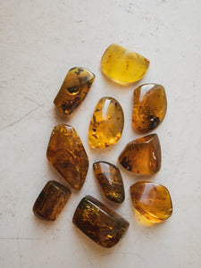 Polished Chiapas Amber, RM353