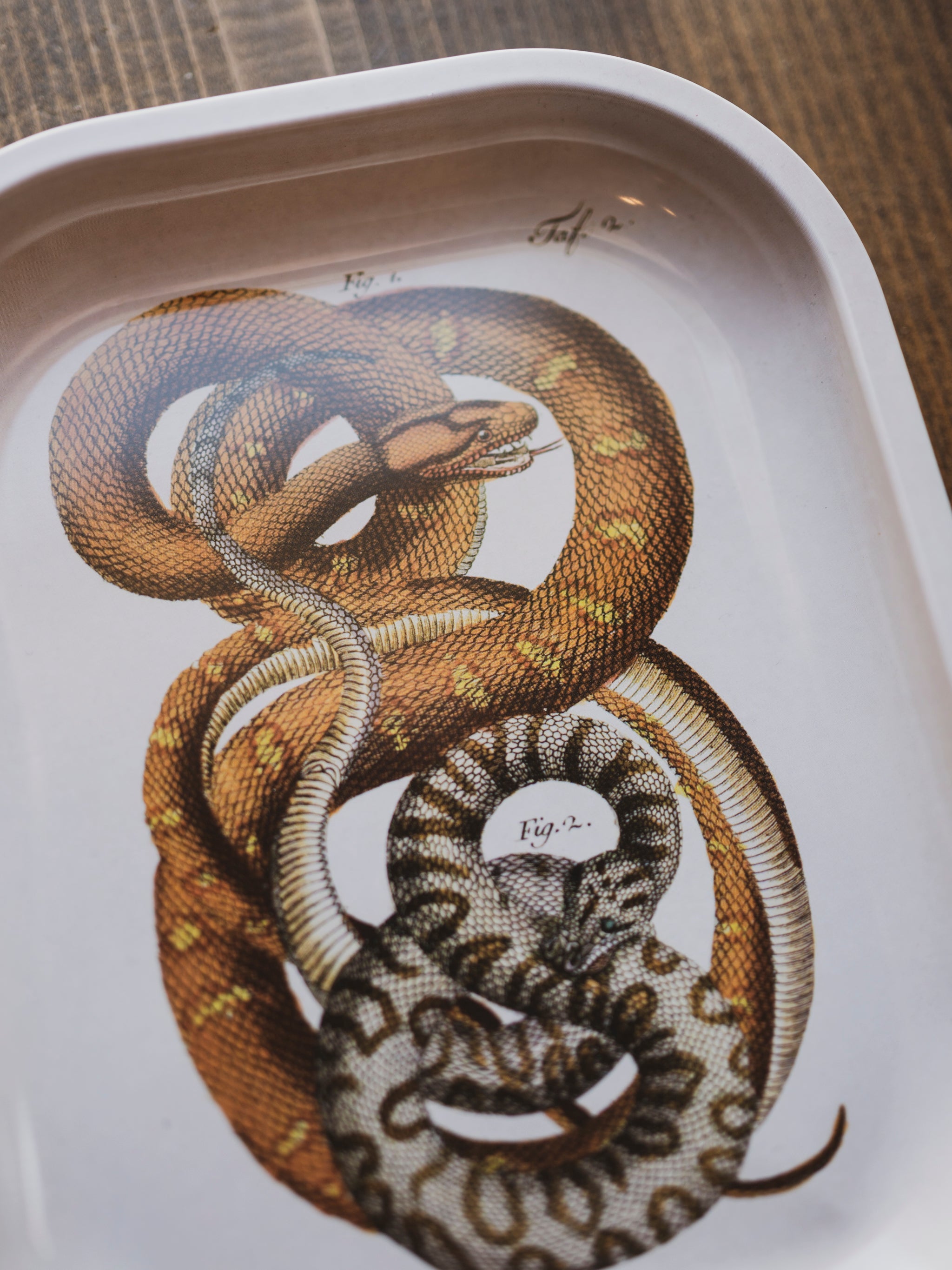 Metal Snake Tray, HD155