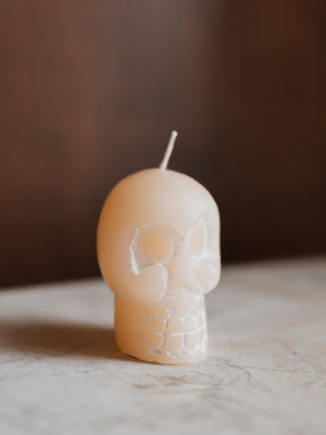 2.5" Skull Candle, HD753