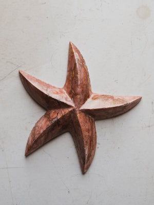 5" Marble Starfish, RM387