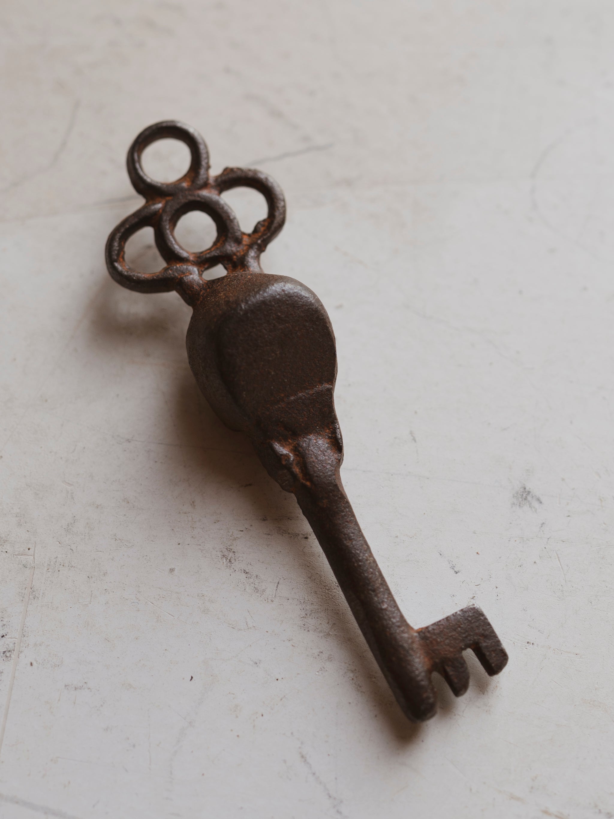 Cast Iron Skull Key, HD597