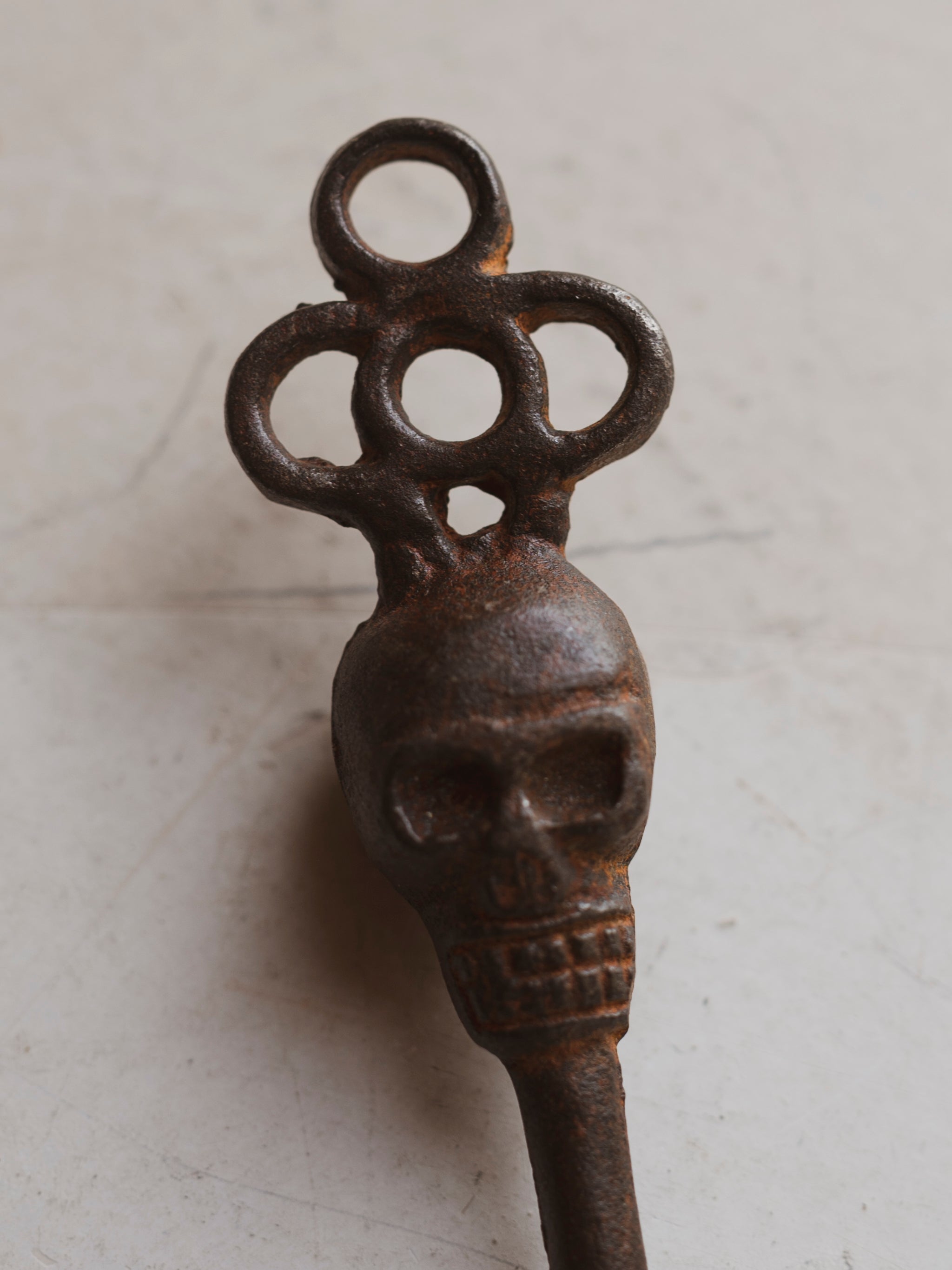 Cast Iron Skull Key, HD597
