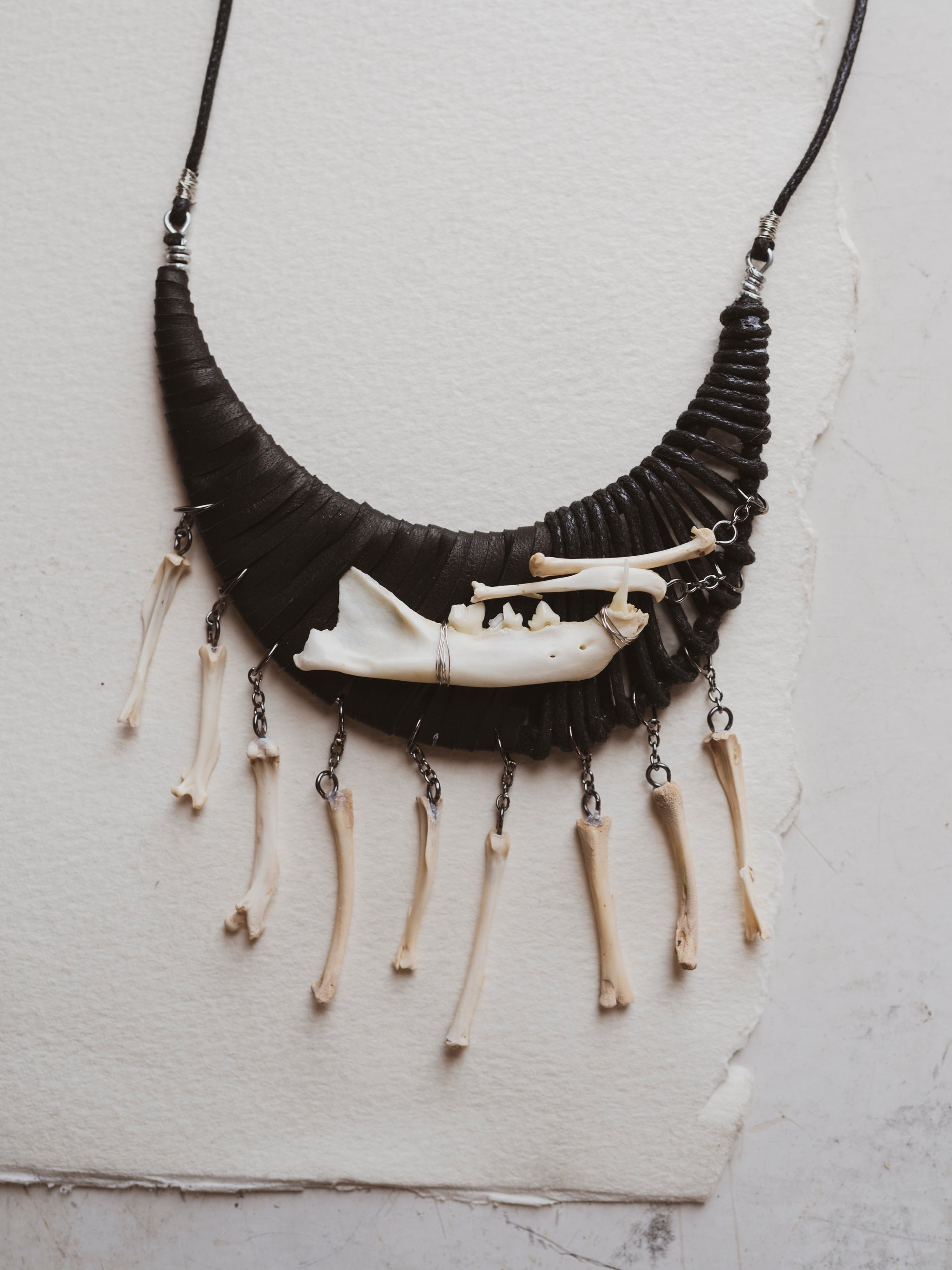 Cat Jaw w/ Mouse Bone Black Cord Necklace, CA865
