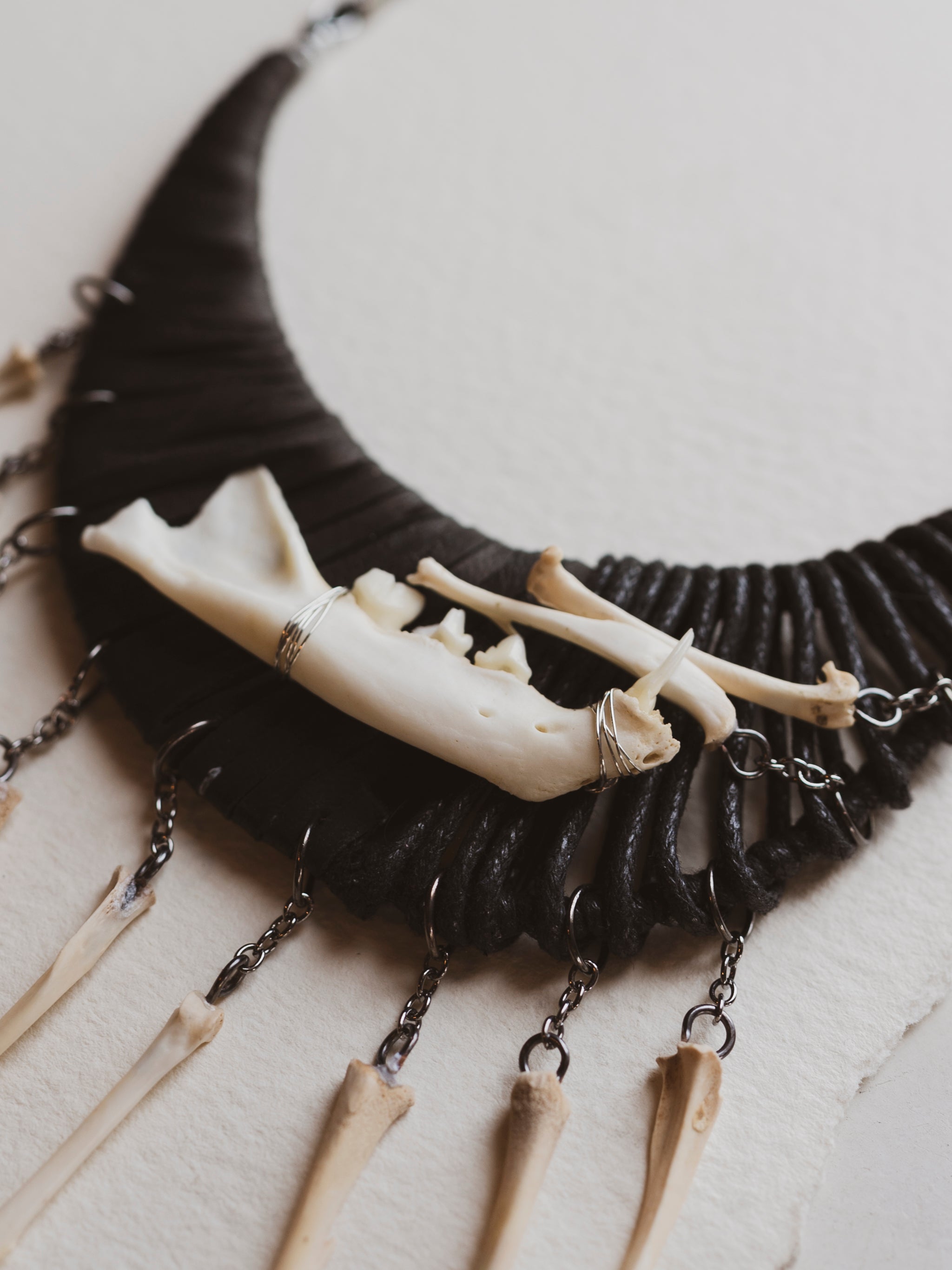 Cat Jaw w/ Mouse Bone Black Cord Necklace, CA865