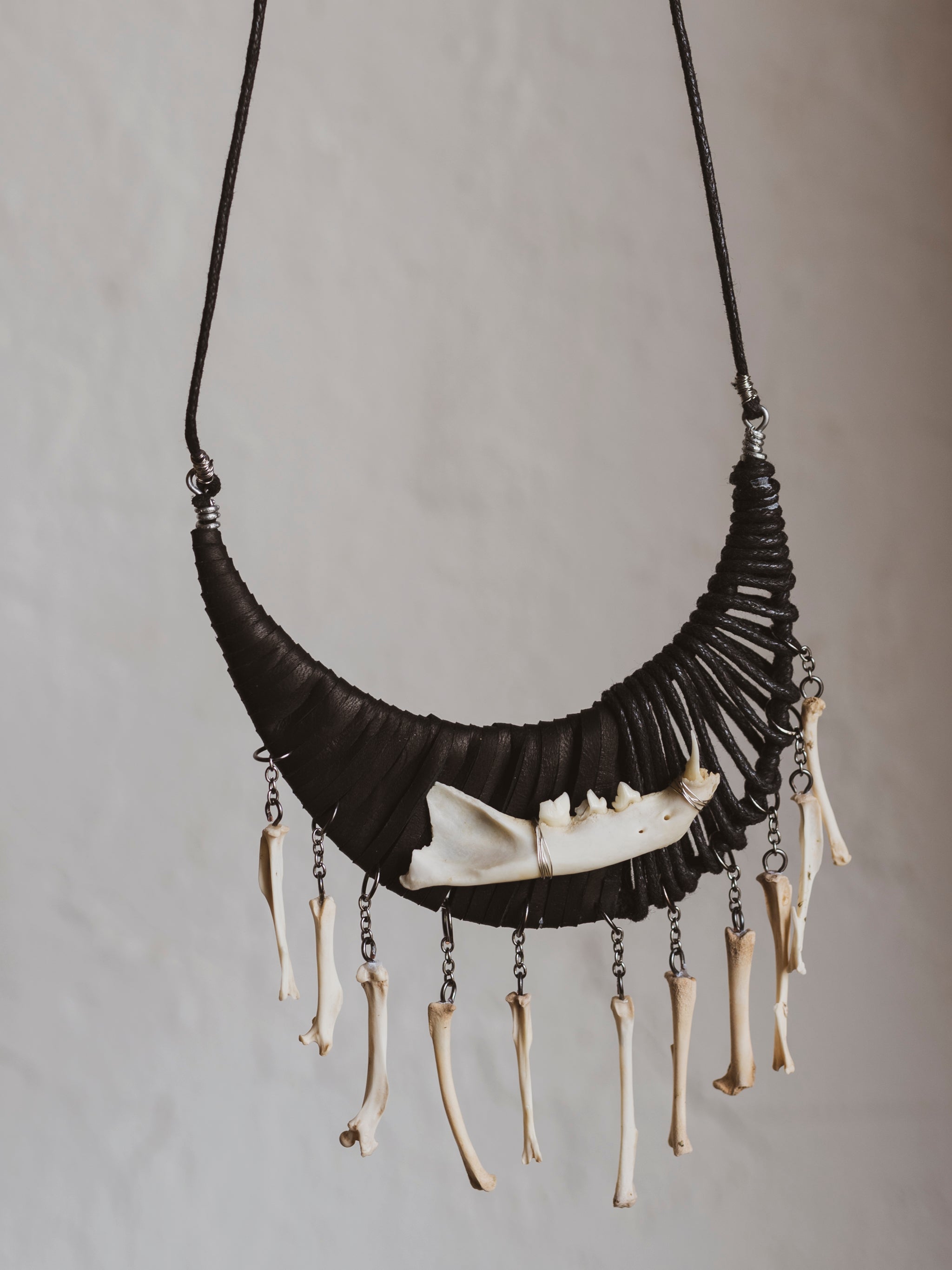 Cat Jaw w/ Mouse Bone Black Cord Necklace, CA865
