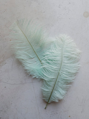 6-8" Blue Ostrich Feather, PS90