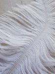 6-8" White Ostrich Feather, PS12