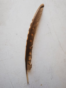 7.5-9" Greater Prairie Chicken Feather, PS228