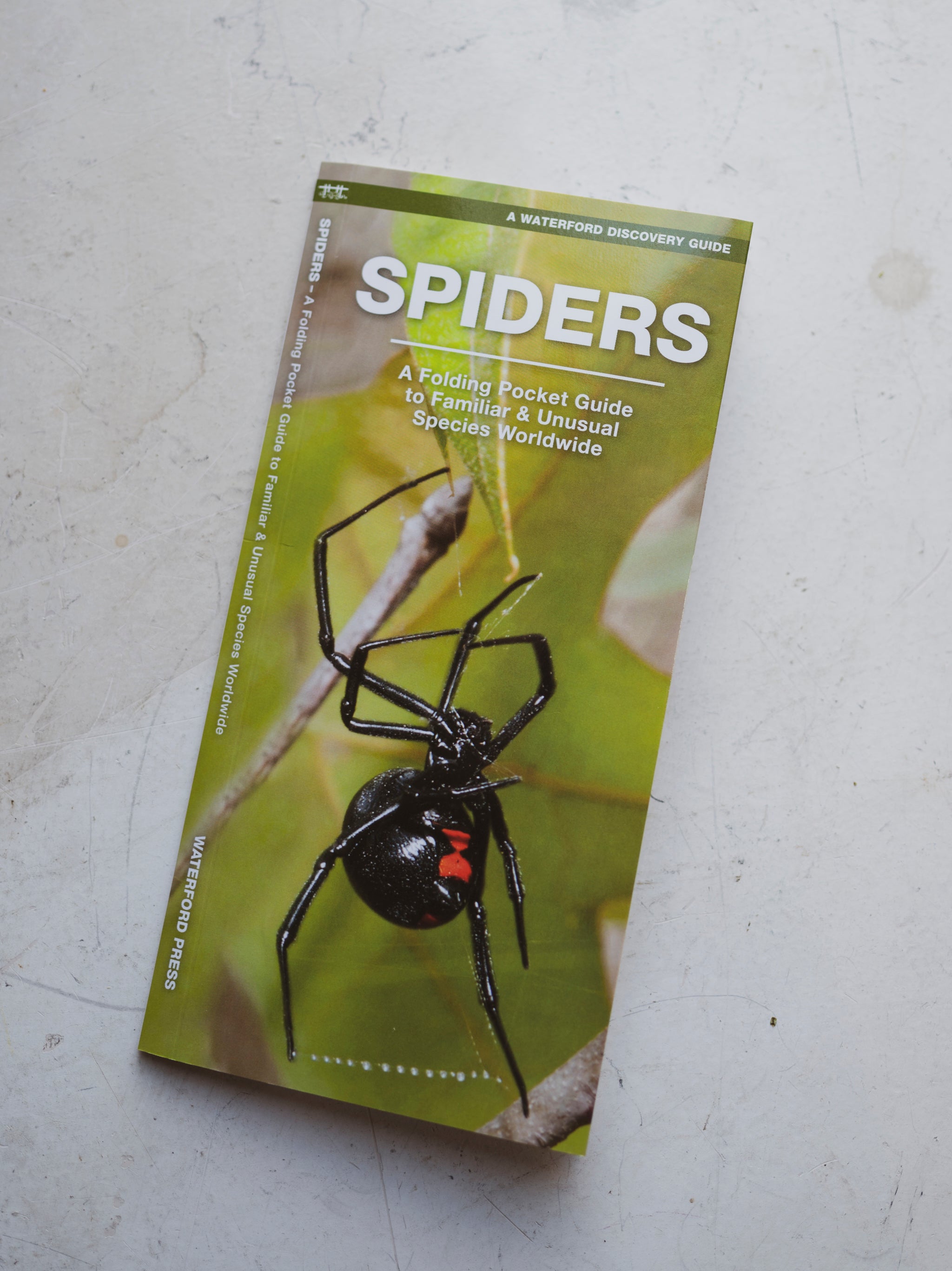 Spiders Pocket Guide, BO128