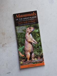 Mammals of the Great Plains ID Guide, BO036