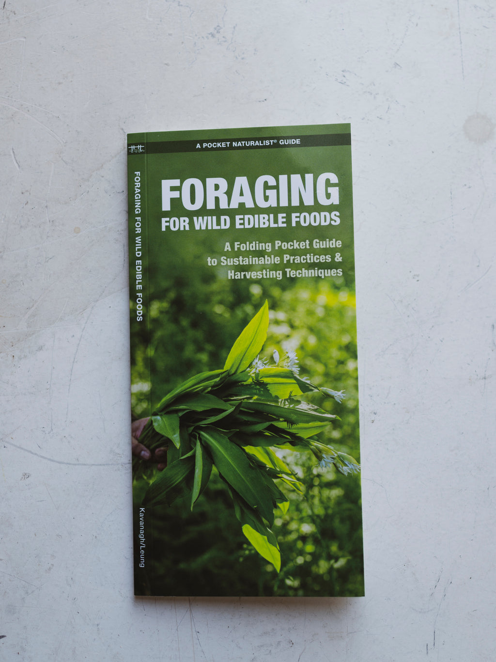 Foraging For Wild Foods Pocket Guide, BO130