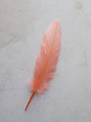 6-8" Pink Goose Feathers, PS223