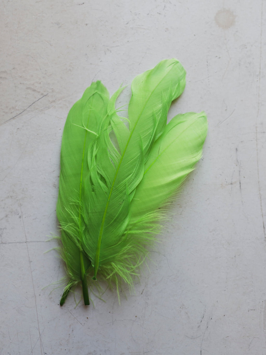 6-8" Green Goose Feathers, PS75