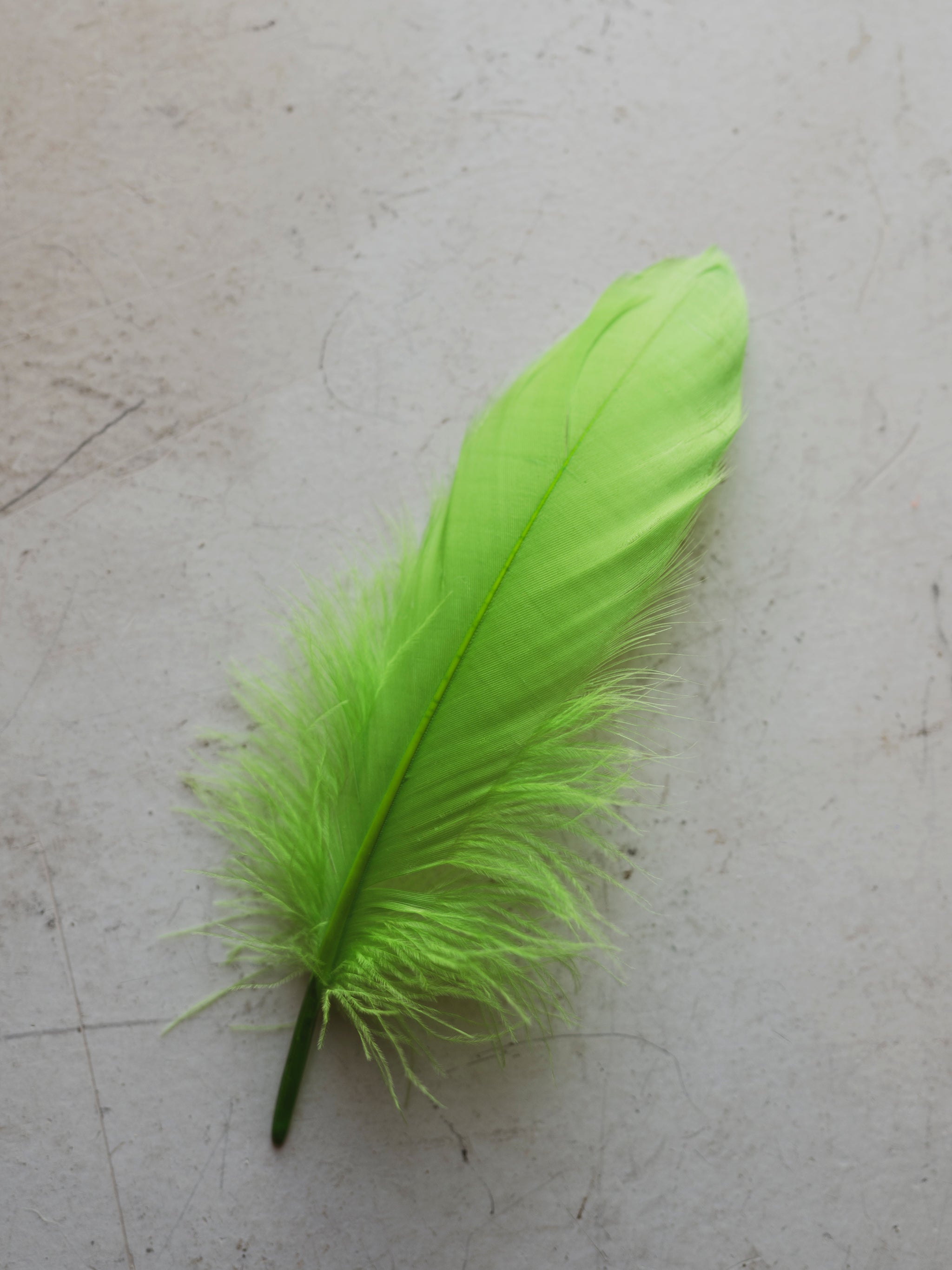 6-8" Green Goose Feathers, PS75