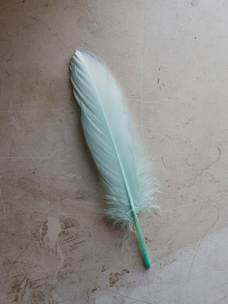 6-8 White Goose Feather, PS03 – Black Moth