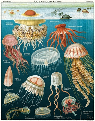 Jellyfish Puzzle, HD264