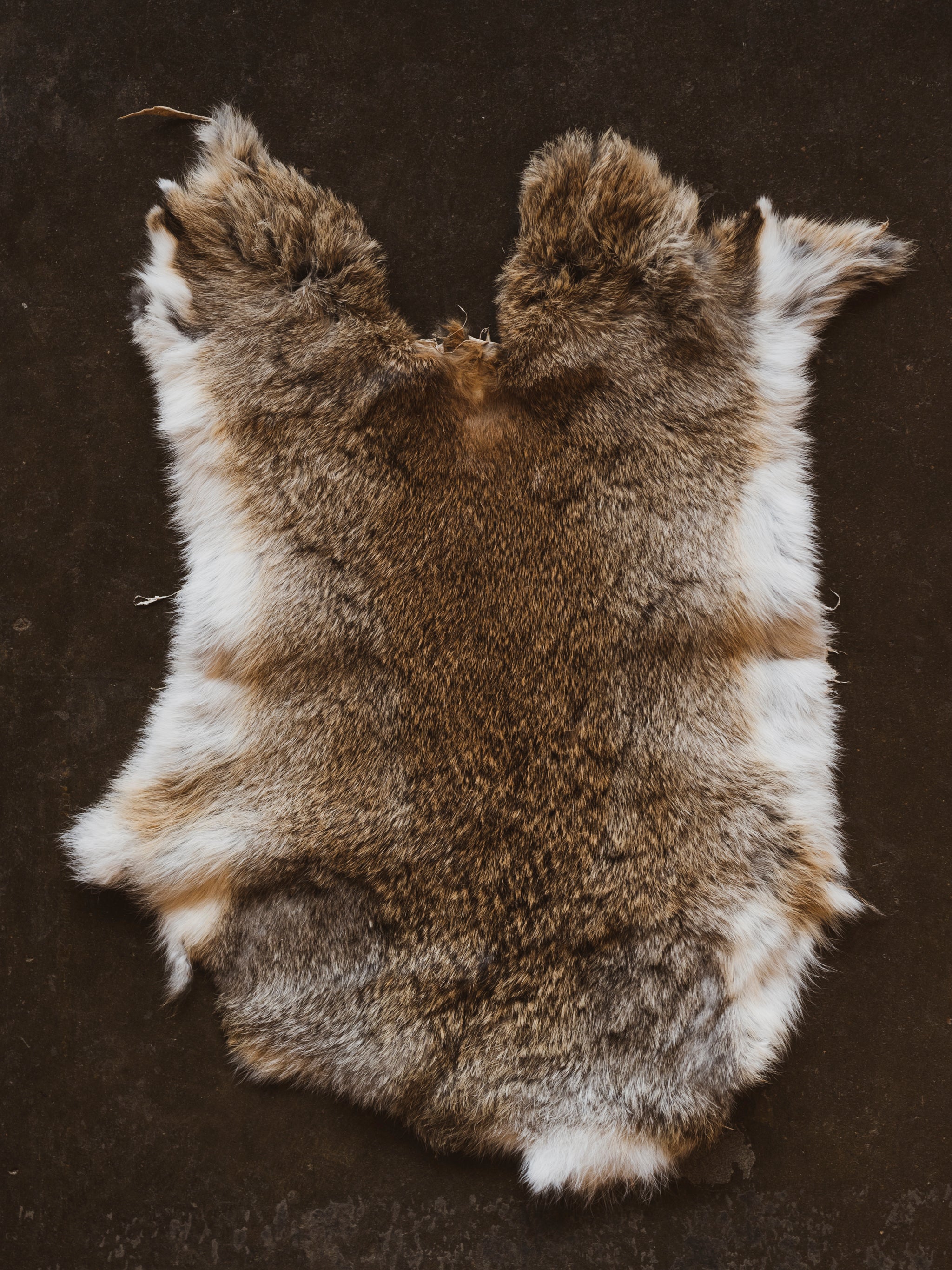 Pelt Rocls Assorted Rabbit Pelt, PS349 – Black Moth