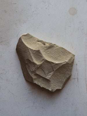 2” Fossilized Aphrodites Scutulatus In Matrix, RM959
