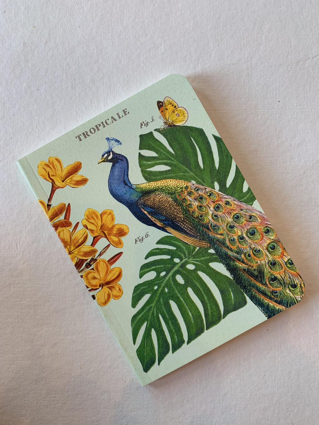 Peacock Tropicale Notebook, ST080