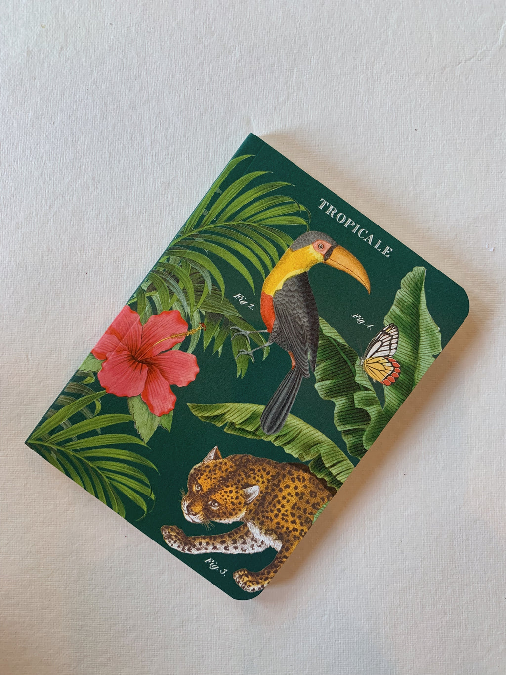Toucan Tropicale Notebook, ST079